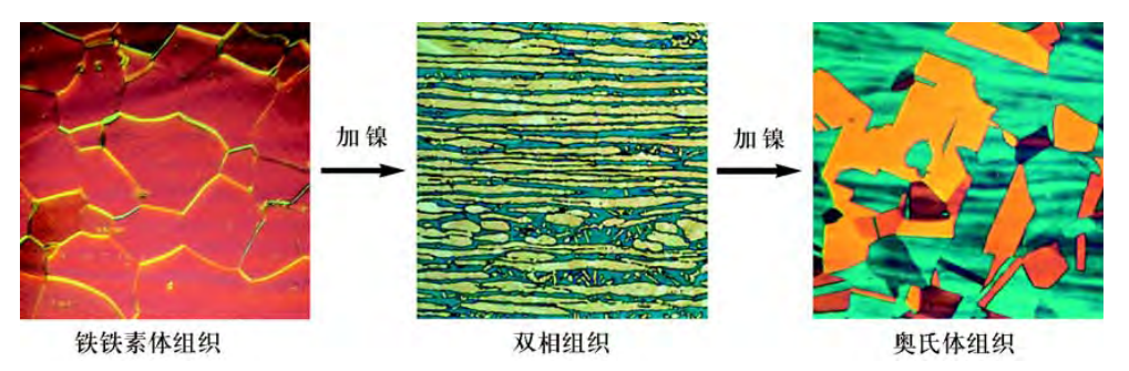 Stainless steel microstructure with increasing nickel content: ferrite (left), duplex (center), austenite (right)