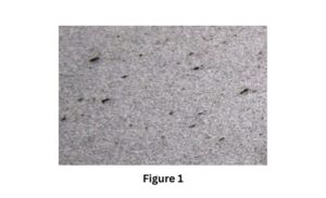 Macro morphology 42CrMo Cylinder Forging