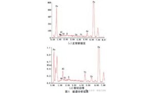 Energy dispersive spectroscopy performed on the identified cracks