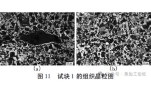 Grain Structure Image