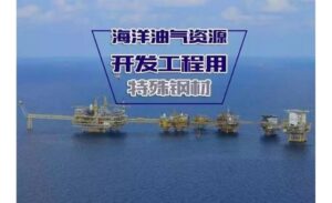 Marine Oil and Gas Port