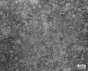 (d) 930℃ quenching + 650℃ tempering + water cooling 